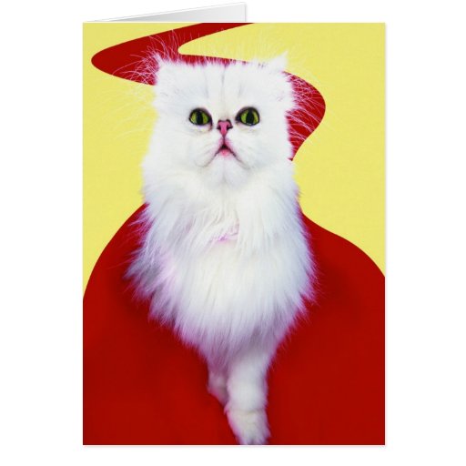 Precious Cat and Kitten Photos, Gifts - Customize! Greeting Card
