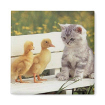 Precious Cats, Kittens Cards, Gifts -  Customize! Fridge Magnets