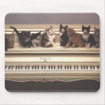Precious Cats, Kittens Cards, Gifts -  Customize! Mouse Pads