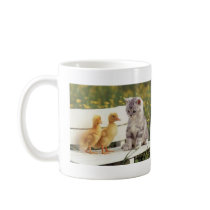 Precious Cats, Kittens Cards, Gifts -  Customize! Mugs