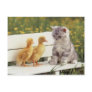 Precious Cats, Kittens Cards, Gifts -  Customize! Post Card