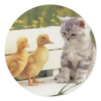 Precious Cats, Kittens Cards, Gifts -  Customize! Round Stickers
