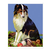 Precious Family Pet Postcard