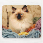 Precious Kitty mousepads