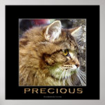PRECIOUS LONG-HAIR TABBY CAT Art Poster