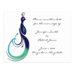 Precious Peacock Post Cards