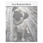 Precious Pug Puppy in Black and White Letterhead