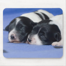 Precious puppies mousepad