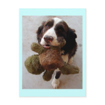 Precious Puppy Post Card