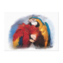 Preening Macaws Canvas Prints