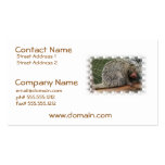Prehensile-Tailed Porcupine  Business Card