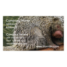 Prehensile-Tailed Porcupine Business Card