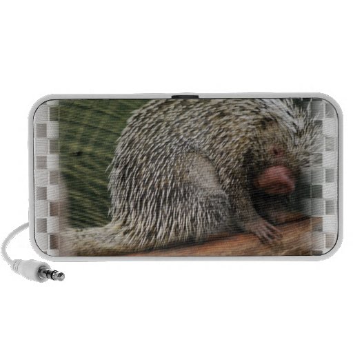 Prehensile-Tailed Porcupine Speakers