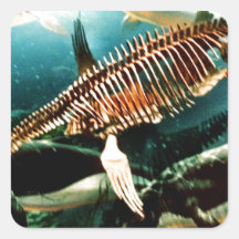 Prehistoric Underwater Sea Creature - Loch ness Square Sticker