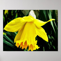Premier signe de ressort posters