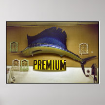 Premium Print