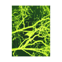 Premium Wrapped Canvas - Green Canvas Prints