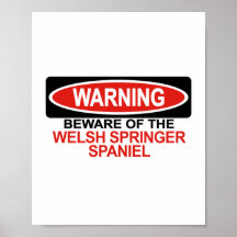 Prenez garde du springer spaniel de Gallois Posters