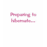 Preparing to hibernate... t-shirts