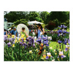 Presby Iris Garden Post Cards