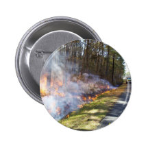 Prescribed Burn at Chesapeake Marshlands National Pins