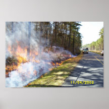 Prescribed Burn at Chesapeake Marshlands National Posters