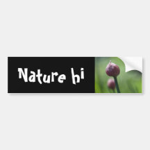 present beauty bumper stickers