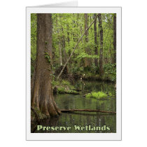 Preserve Wetlands Greeting Cards