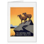 Preserve Wild Life 1939 WPA Greeting Cards