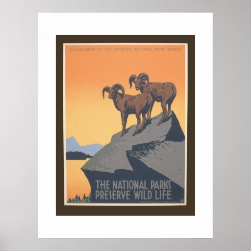 Preserve Wildlife - Vintage Travel Poster