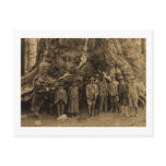 President Roosevelt and John Muir Beneath (Sepia) Postcards