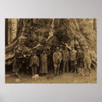 President Roosevelt and John Muir California Sepia Print