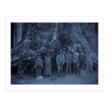 President Roosevelt and John Muir   (Cyan) Postcards