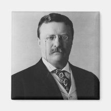 President Theodore Roosevelt Portrait Magnets