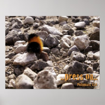 … presse sur… posters
