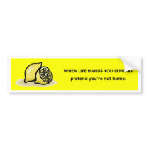 pretend-youre-not-home bumper sticker