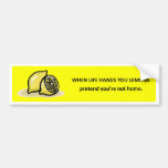 pretend-youre-not-home bumper sticker