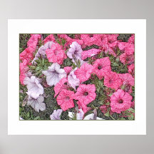 Pretty and Pink Posters