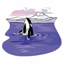 pretty artic orca scene photo cutouts