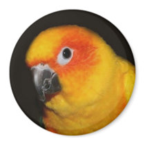 Pretty Bird Magnet
