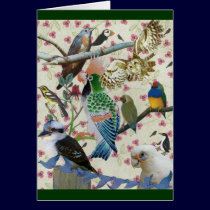 Pretty Birdies cards