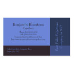 Pretty Blue Blocks Business Cards