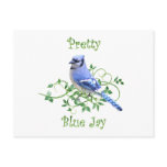 Pretty Blue Jay Post Card
