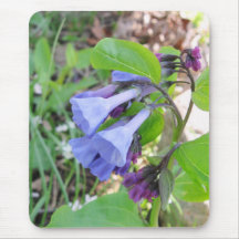 Pretty Bluebells Mousepad