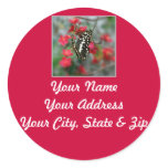 Pretty Butterfly Address Label Round Stickers