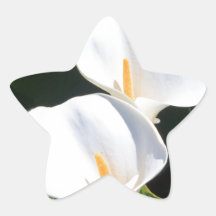 Pretty Calla Lilies Sticker