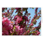 Pretty Crab Apple Tree Greeting Card