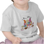 Pretty Cupcakes 2nd Birthday Tshirts and Gifts