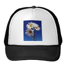 Pretty Daisies Hats