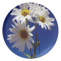 Pretty Daisies Party Plates